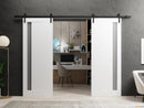 Planum 0660 Painted White Double Barn Door with Frosted Glass and Black Rail