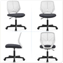 Dark Gray Ergonomic Adjustable Desk Chair Lumbar Support