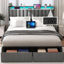 Queen Bed Frame With LED Lights And Storage Drawers