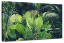 Tropical Jungle Wall Art