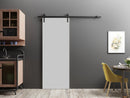 Planum 0010 Matte Grey Barn Door and Black Rail