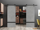 Planum 0012 Concrete Double Barn Door and Black Rail