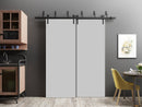 Planum 0010 Matte Grey Double Barn Door and Black Bypass Rail