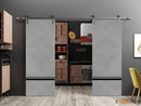 Planum 0012 Concrete Double Barn Door and Silver Rail
