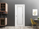 Planum 0888 Painted White Barn Door Slab with Frosted Glass