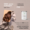 Collagen P18