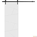 Planum 0990 Painted White Matte Barn Door and Black Rail