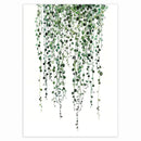 Plantae Canvas Painting (9 Pack)