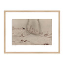 Traces of the Field I
