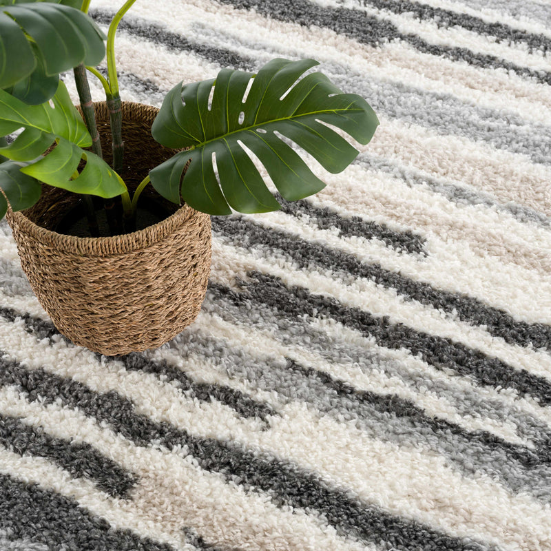 Zoya Irregular Striped Area Rug