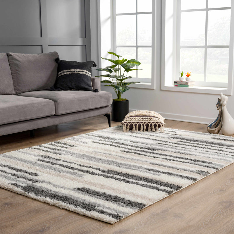 Zoya Irregular Striped Area Rug