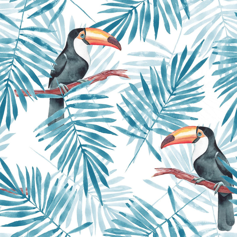 Toucan Birds Wallpaper