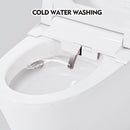 Nuvia 1/1.28 GPF Smart Compact Dual Flush Tankless Toilet Bidet Combo With Self-Cleaning Nozzle And Foot Sensor Flush (SAK58021)