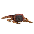3D Printed Lizard Fidget | Multiple Colors | Black Sheep Products LLC