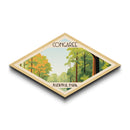Congaree National Park Travel Poster Art Canvas Texture Print, Travel Decor Art, Midcentury Modern Retro Decor South Carolina Travel Art