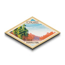 Congaree National Park Diamond Shaped Travel Poster Art Canvas Art Print, Canvas Wall Art, Travel Gift, South Carolina Travel Art