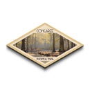 Congaree National Park Travel Print Canvas Texture Print, Travel Decor, Midcentury Modern Retro Decor South Carolina Landscape