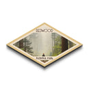 Redwood National Park Travel Poster Canvas Texture Print, Travel Decor, Midcentury Modern Retro Decor California Landscape