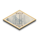 Retro Redwood National Park Travel Poster Canvas Texture Print, Travel Decor, Midcentury Modern Decor California Landscape