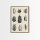 Christmas Pine Cones Canvas Print - Framed Canvas - Minimalist Christmas Art - Boho Christmas Art - Rustic Christmas Art - Pinecone Painting