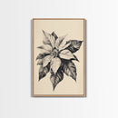 Poinsetta Canvas Print - Framed Canvas - Minimalist Christmas Art - Boho Christmas Art - Rustic Christmas Art