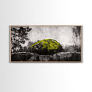 Mossy Rock, Abstract Nature, Green and Black Art, Canvas Print, Rustic Wall Decor, Boho Artwork, Modern Farmhouse Decor