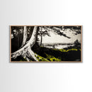 Forest Tree, Ocean View, Coastal Landscape, Canvas Print, Nature Wall Art, Black and White Art, Cabin Wall Decor, Rustic Wall Art