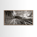 Forest Ocean Trail, Stormy Beach Scene, Driftwood Pathway, Framed Canvas Print, Cabin Entryway or Nature-Inspired Living Room Art