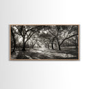 Oak Tree Path, Autumn Forest Glow, Nature Trail Photography, Framed Canvas Print, Hallway Wall Art, Earthy Decor, Woodland Art