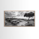 Picnic Table, Ocean Tree, Coastal Path, Windswept Scene, Framed Canvas Print, Rustic Wall Art, Fall Decor, Peaceful Beach Setting