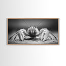 Hermit Crab, Close-Up, Ocean Creature, Monochrome Nature, Framed Canvas Print, Marine Wall Decor, Coastal Kitchen Wall Art, Entryway Accent