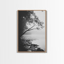 Misty Tree, Shoreline Fog, Forest Edge, Moody Atmosphere, Framed Canvas Print, Bedroom Wall Art, Autumn Woodland Style, Serene Nature Decor