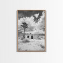 Palm Tree, Desert Shack, Abandoned Beauty, Western Minimalism, Canvas Print, Living Room Wall Art, Rustic Modern Style, Boho Wall Decor