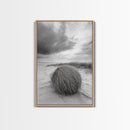 Tumbleweed Dune, Windy Coast, Desert Beach, Canvas Print, Boho Wall Art, Autumn Nature Decor, Minimalist Western Photography