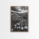 Meadow Bloom, Coastal Flowers, Stormy Sky, Framed Canvas Print, Spring Wall Art, Nature Photography, Kitchen Botanical Decor