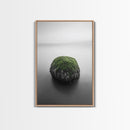 Moss Rock Minimal, Green Accent Art, Coastal Zen Decor, Framed Canvas Print, Modern Neutral Room, Nature Wall Aesthetic