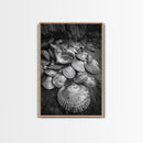 Seashell Pile, Textured Beach, Coastal Treasures, Natural Beauty Framed Canvas Print, bathroom decor, shell art, beach wall style