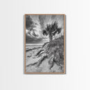Palm Tree Beach, Coastal Dunes, Dramatic Sky, Framed Canvas Print, Tropical Wall Art, Boho Living Room Decor, Beach House Art
