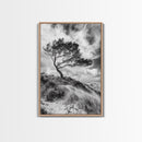 Windswept Tree, Coastal Landscape, Stormy Sky, Framed Canvas Print, Modern Rustic Wall Art, Nature Photography, Bedroom Wall Accent