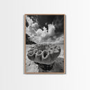 Coral Reef Texture, Ocean Wall Art, Coastal Minimalist, Nature Photography, Framed Canvas Print, Bathroom Wall Decor, Tropical Beach Print