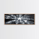 Redwood Trees, Forest Canopy, Looking Upward, Canvas Print, Black and White Nature Art, Meditation Room Decor, Minimalist Wall Art