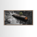 Nature Log, Life Grows, Floating Tree, Framed Canvas Print, Minimalist Growth Art, Nature Symbolism, Office Inspiration, Calm Wall Art