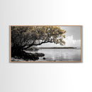 Mangrove Tree, Coastal Roots, Golden Leaves, Ocean View, Framed Canvas Print, Beach House Art, Nature Wall Decor, Minimal Coastal Vibe