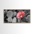 Pink Cactus Bloom, Desert Flower Closeup, Botanical Art, Canvas Print, Southwest Decor, Kitchen Wall Art, Nature Photography Print