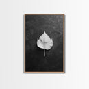 Monochrome Leaf, Nature Minimal, Still Life, Moody Art, Framed Canvas Print, Fall Wall Art, Kitchen Decor, Neutral Modern Aesthetic