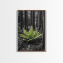 Green Fern, Forest Focus, Lush Nature, Woodland Light, Framed Canvas Print, Botanical Wall Art, Bedroom Decor, Minimalist Plant Art