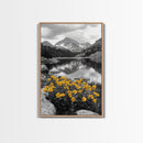 Yellow Wildflowers Lake, Alpine Meadow, Monochrome Landscape, Canvas Print, Kitchen Wall Art, Spring Nature Photography Decor