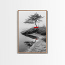 Red Bench, Misty Shore, Solitude Scene, Moody Fog Art, Framed Canvas Print, Minimalist Wall Art, Meditative Decor, Entryway Accent