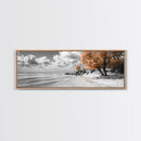 Sandy Beach Trees, Golden Autumn Coastline, Cloudy Sky Horizon, Canvas Print, Nature Coastal Art, Bathroom Wall Decor, Boho Fall Aesthetic
