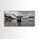 Longhorn in Water, rustic art, western decor, bull and bear art, cowboy wall art, farmhouse art, panoramic art, Framed Canvas Print